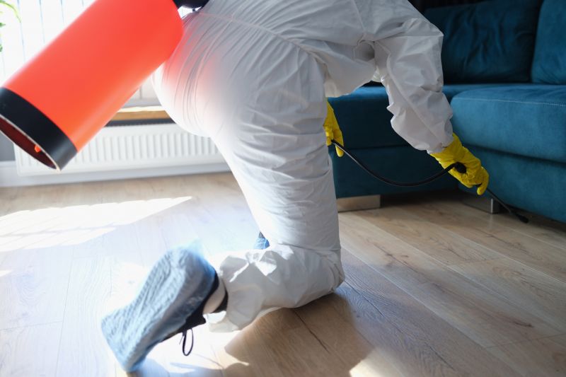 Centipede Extermination in Frisco, TX